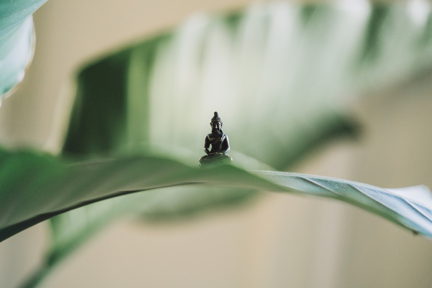 featured-image-0