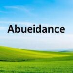 abundância: como atrair paz e felicidade para sua vida