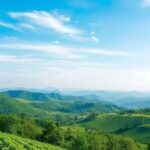 Abundância: como a lei da atração transforma a sua vida